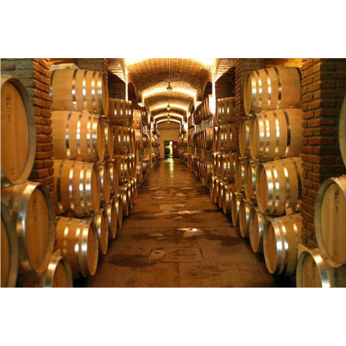 La industria del vino en Argentina: Mendoza como motor de crecimiento y proyección global