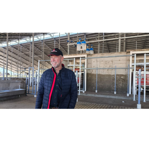 Argentina’s $50 Million Robotic Dairy Farm: A New Era in Sustainable Agriculture