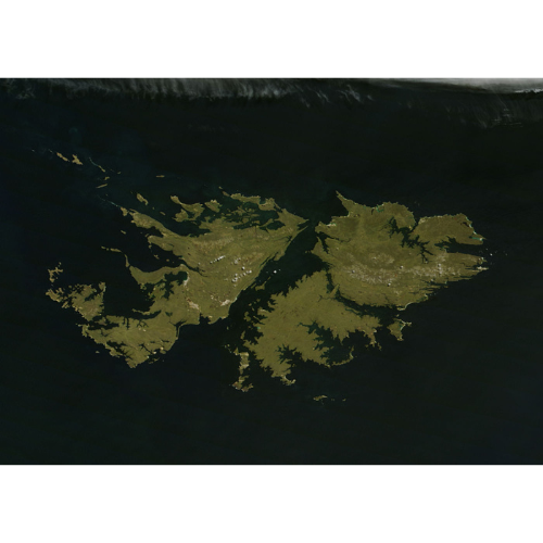 Radiografía económica y proyecciones de negocios en las Islas Malvinas
