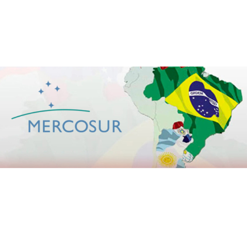 Mercosur: falta de homogeneidad en los modelos económicos de sus países