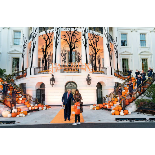 Haunted by Tariffs: How Trump’s Economic Policies Are Spooking Halloween