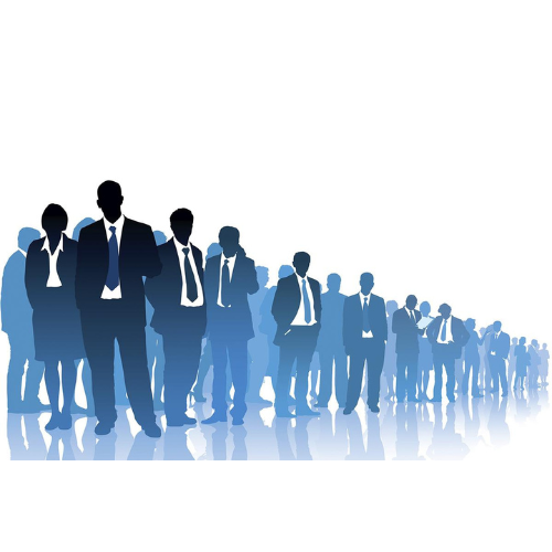 The Cooling Curve: What the U.S. Labor Market Slowdown Signals for the Economy Ahead