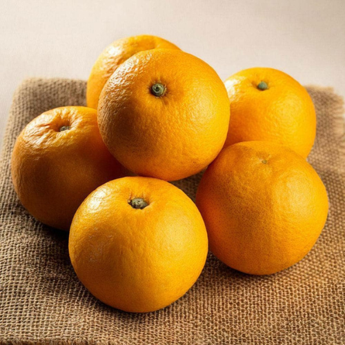 Guatemala’s Creative Revolution: How the Orange Economy Is Redefining Growth in Central America